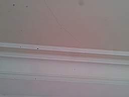 fkillineybeforeinternal 1860.jpg